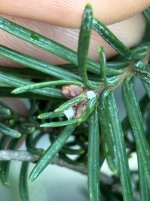 IMG_6104.jpeg IMG_6104.jpeg