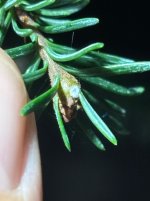 IMG_6116.jpeg