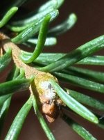 IMG_6119.jpeg