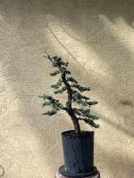 IMG_1590.jpeg