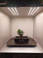 IMG_20250926_215549.jpg