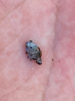 IMG_0981.jpeg