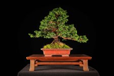 IMG_0418.jpg IMG_0418.jpg