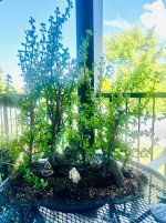 IMG_9963.jpeg