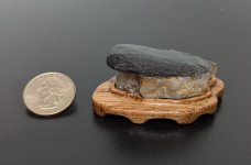 PXL_20241026_122738042~2.jpg
