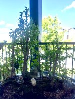 IMG_0006.jpeg