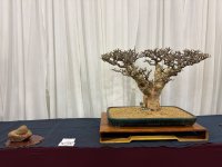 IMG_6962.jpeg