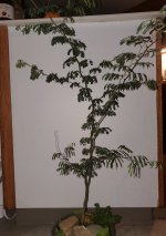 20251005_053101.jpg