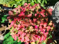 IMG_0225.jpeg