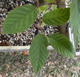 IMG_1684.jpeg