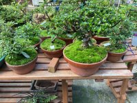 IMG_0799.jpeg