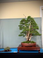 IMG_1782.jpeg