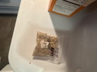 IMG_0052.jpeg