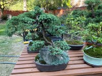 IMG_0803.jpeg