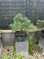 IMG_6871.webp IMG_6871.webp