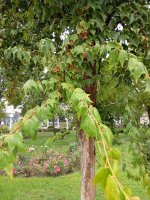 IMG_20251008_104453.jpg