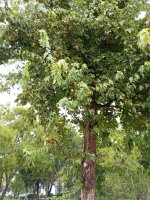 IMG_20251008_104438.jpg
