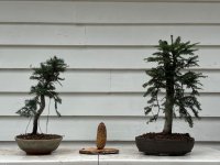 IMG_6539.jpeg IMG_6539.jpeg