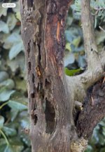 IMG_1704.jpeg