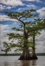 IMG_6697.jpeg IMG_6697.jpeg