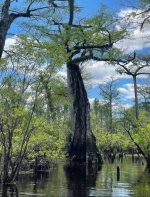 IMG_6696.jpeg IMG_6696.jpeg