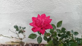 IMG_20251011_101929_825.jpg