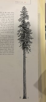IMG_6518.jpeg