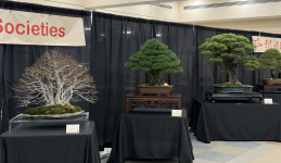 Screenshot 2025-10-16 at 4.04.37 PM.png