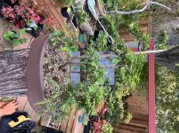 IMG_4131.jpeg