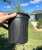 IMG_6827.jpeg