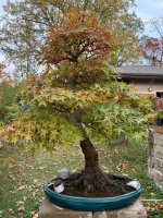 IMG_2160.jpg IMG_2160.jpg