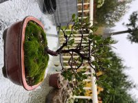 IMG_4149.jpeg