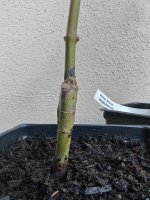 20251019 - Arrived in mail 2.jpg 20251019 - Arrived in mail 2.jpg