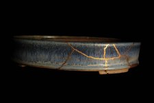 IMG_1976.jpg IMG_1976.jpg