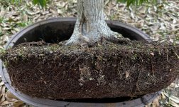 IMG_1766.jpeg IMG_1766.jpeg