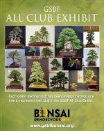 567715023_866406759044683_4231705382712599087_n.jpg 567715023_866406759044683_4231705382712599087_n.jpg