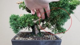 Screenshot 2025-10-23 130150.jpg