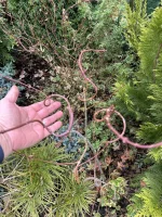 IMG_6921.webp IMG_6921.webp