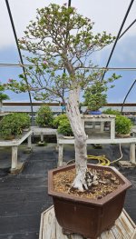 1761413369794.jpeg 1761413369794.jpeg