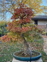 IMG_2175.jpg IMG_2175.jpg