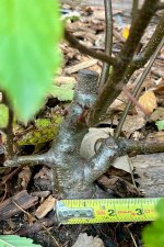 IMG_4754.jpeg IMG_4754.jpeg