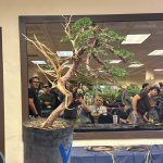 IMG_1996.jpeg IMG_1996.jpeg