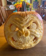 IMG_2485.jpeg