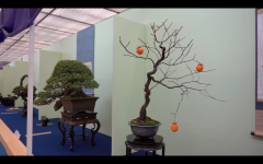 Screen Shot 2019-12-10 at 6.25.29 AM.png