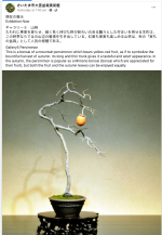 Screen Shot 2021-12-21 at 4.29.44 AM.png