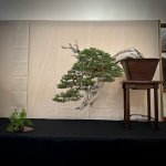 IMG_1962.jpeg IMG_1962.jpeg