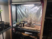 20251025_212933.jpg 20251025_212933.jpg