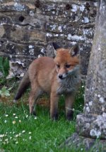 7C24D482-202D-426A-BDDA-1B5AEF160F9C.jpeg 7C24D482-202D-426A-BDDA-1B5AEF160F9C.jpeg