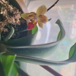 20251029_170703.jpeg 20251029_170703.jpeg