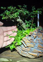 20251029_235310.jpg 20251029_235310.jpg